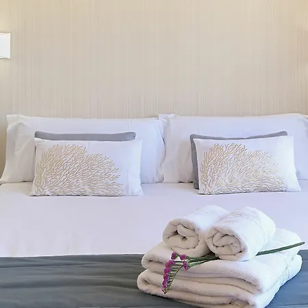 Malagueta Urban Apartment